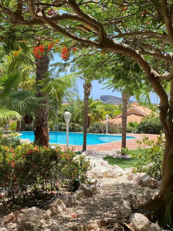 Zwembad — Penthouse Tropicana