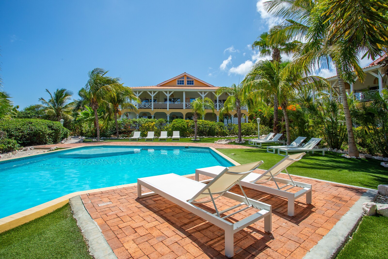 Het gedeelde zwembad van het resort met ligbedden en palmbomen